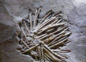 P1080391