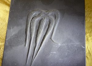 P1080402