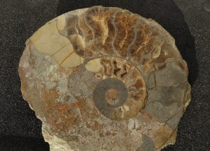 P1340150
