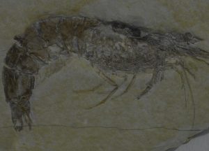 R0025156