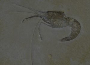 R0025157
